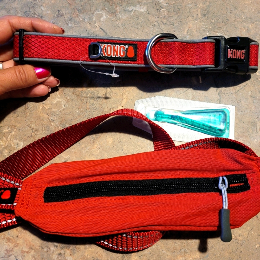 Kong leash and Collar for large dog